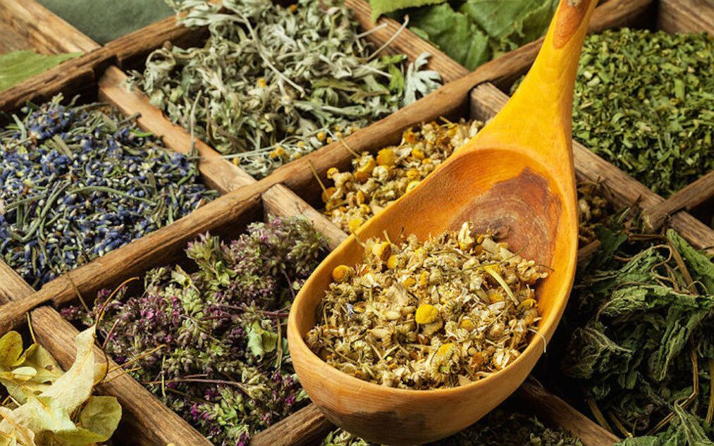 vücuttaki parazitler için kurutulmuş otlar